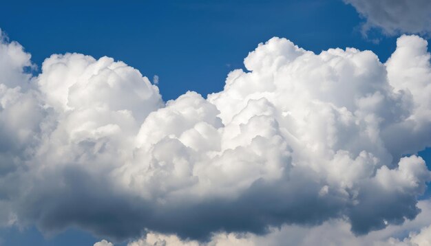 白い大きな積雲の雲