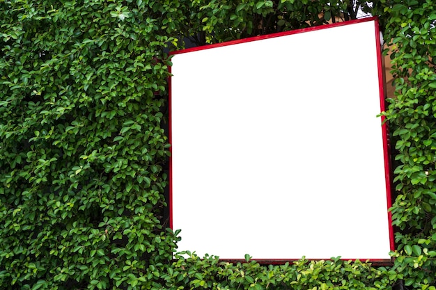 White billboard on spring summer green leaves background