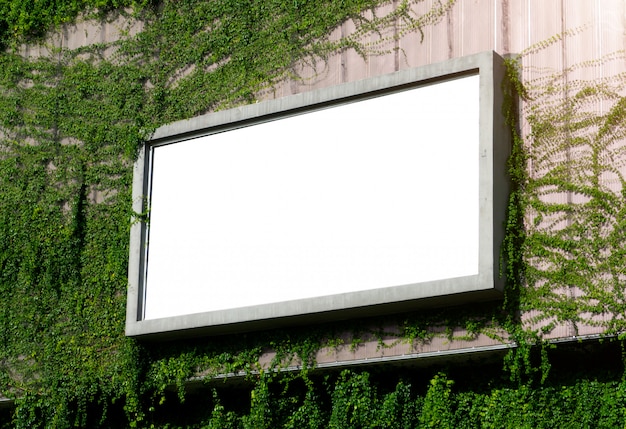 White billboard on spring summer green leaves