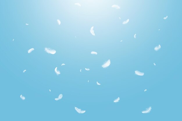 Photo white bird feathers floating in a blue sky freedom feather softness falling white feathers