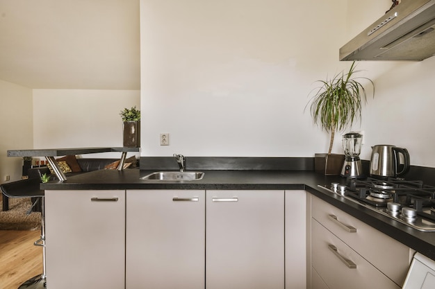 White and black colored kitchen