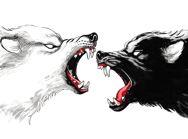 White and black wolves are fighting. Ink and watercolor drawing