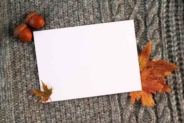 Carta bianca bianca sullo sfondo autunnale con foglie cadute e ghiande su un modello di coperta a maglia Foto Premium