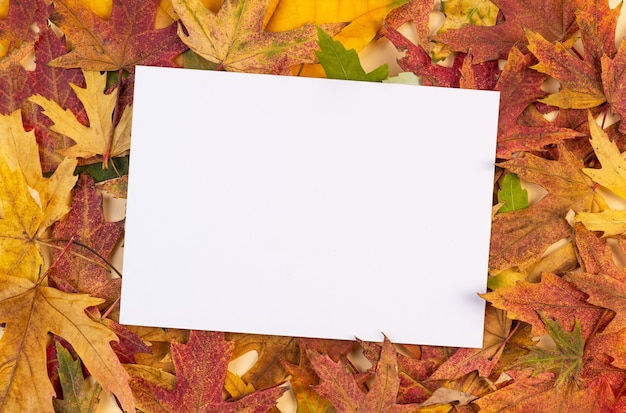 White blank card on the autumn background with fallen leaves mockup