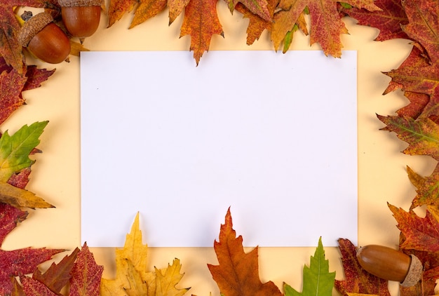 写真 落ち葉と秋の背景に白い空白のカード落ち葉のカラフルなフレーム