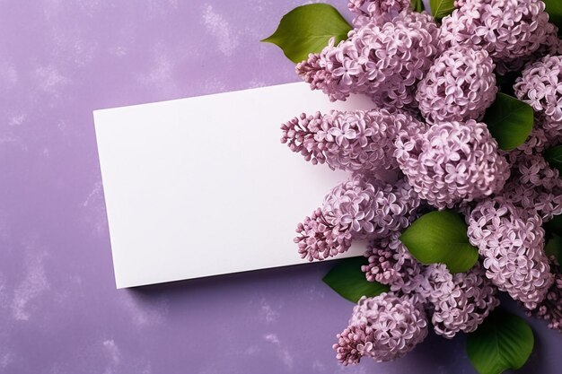 White blank card with lilacs with copy space