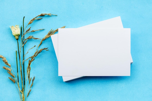 White blank cards and yellow dried roses on a blue background A gentle romantic blank for a postcard