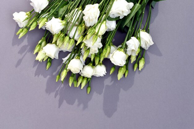 White Blooming flowers background