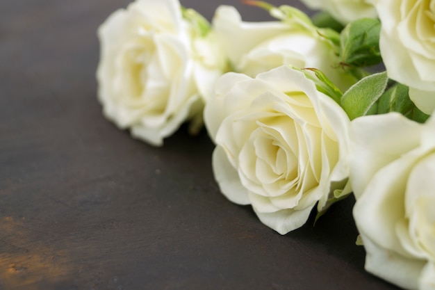 White blooming roses on a dark background.