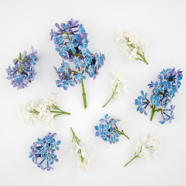 White blue small flowers on a white background Summer postcard frame Flat low copy space top view