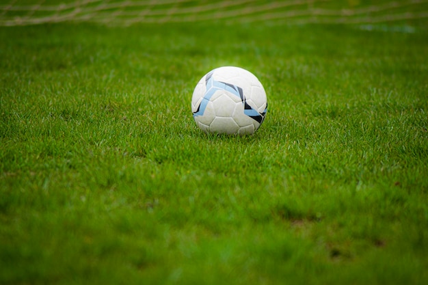 White blue soccer ball on a green field