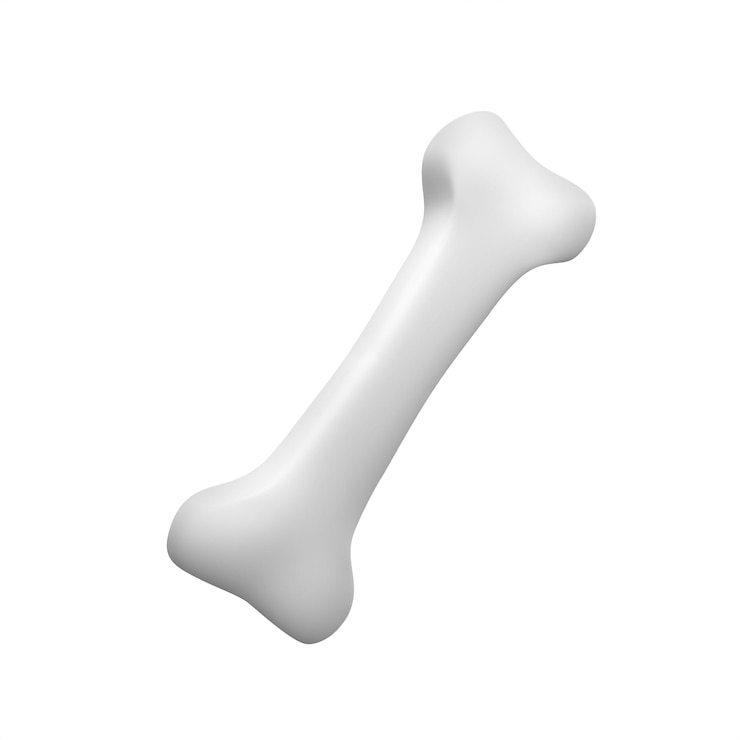 Photo a white bone with a white background
