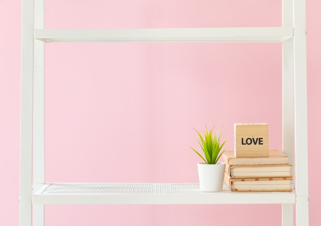 White bookshelf with books and plant against pink wall