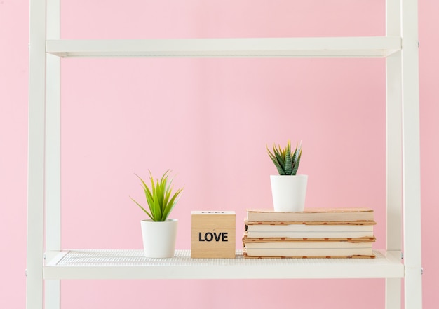 Scaffale bianco con libri e piante contro il muro rosa