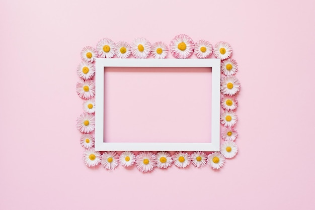 white border with daisy flowers on pink background flat lay copy space