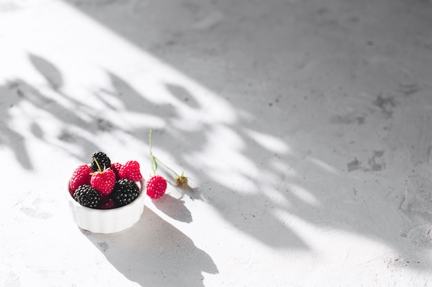 White bowl full with raspberries, blackberry on gray concrete table with leaves, tree branches shadow. Healthy eating concept. Eco, bio farming. Fresh tasty berries on grey background. Quality photo