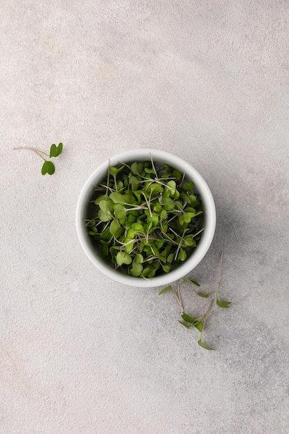 White bowl with fresh microgreens on light gray background