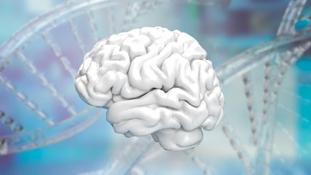 The white Brain on Dna background for sci or health and medical concept 3d rendering