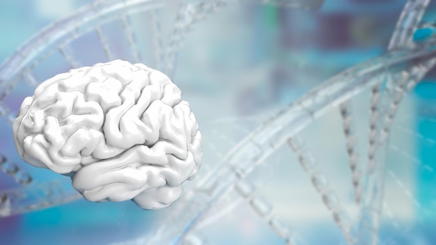 The white Brain on Dna background for sci or health and medical concept 3d rendering