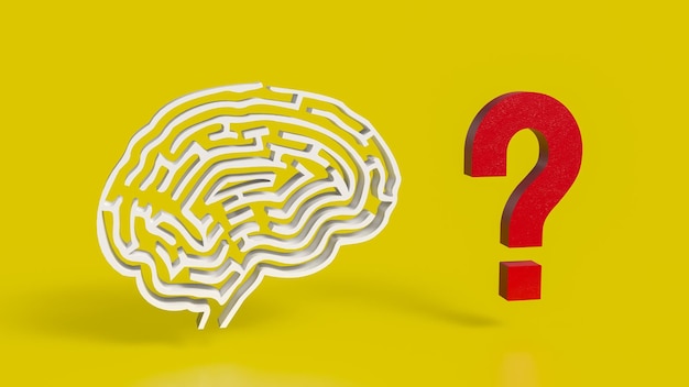 the white brain maze and question mark for sci or creative concept 3d rendering