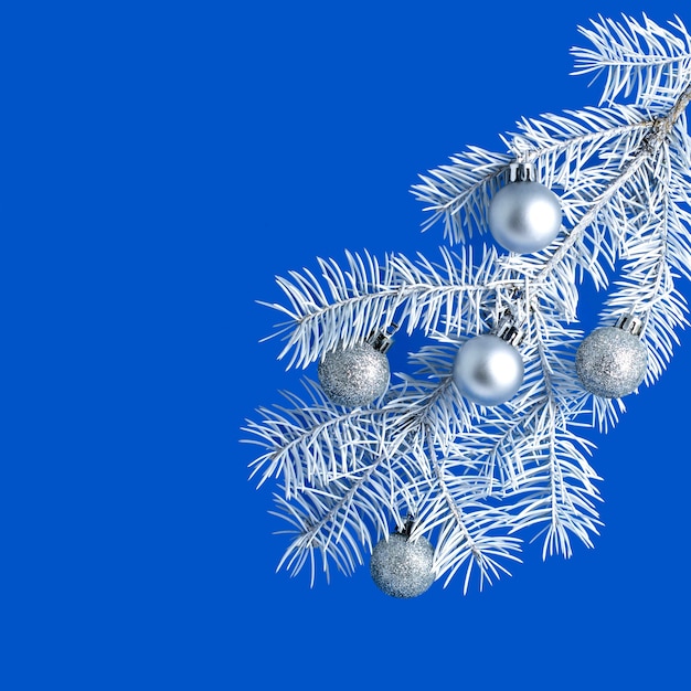 Белая ветка елки с блестящими шарами на синем фоне