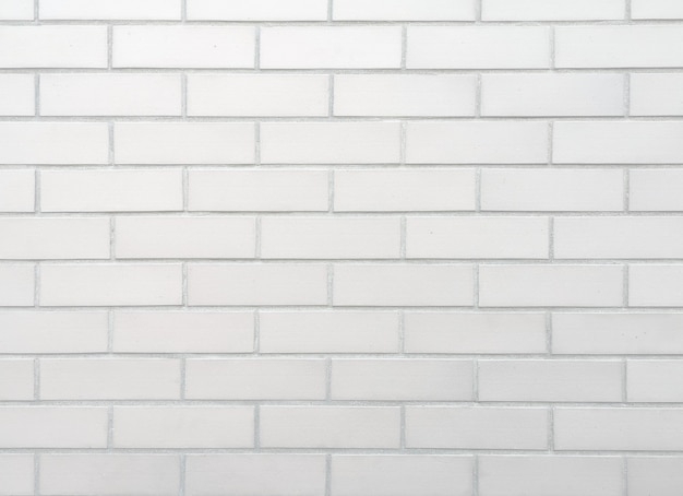 White brick wall background.