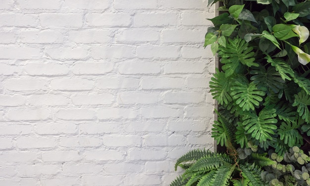 Photo white of brick wall and green leaf for background