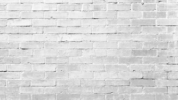 White brick wall texture background