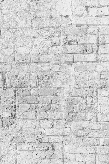 White brick wall texture / white abstract background, vintage
brick wall building