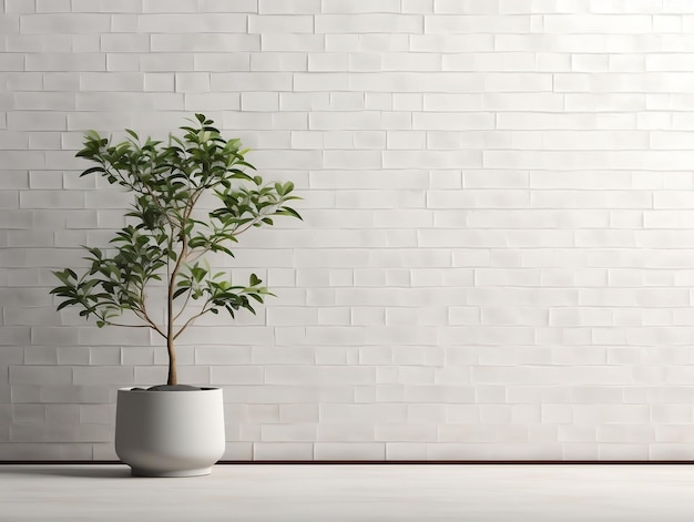 White brick wall with green potted tree in front of it