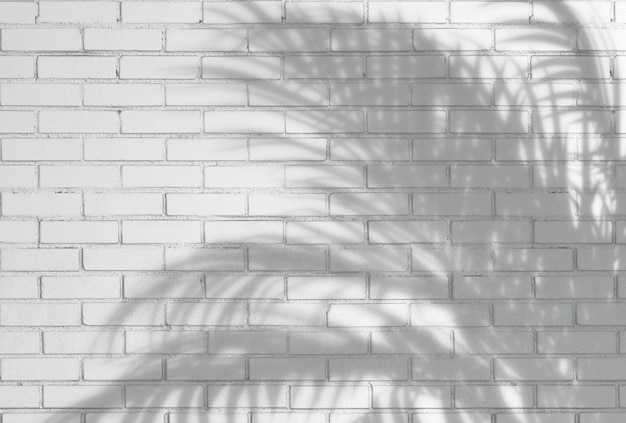 White brick wall with a shadow of a palm tree