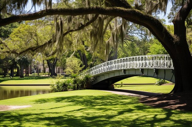 Foto un ponte bianco sopra uno stagno in un parco