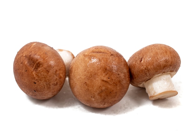 White and brown mushrooms