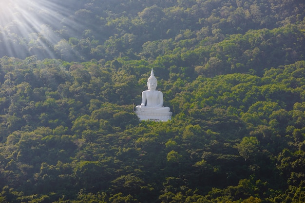 Белая статуя Будды