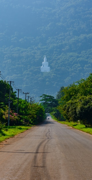 Statua del buddha bianco