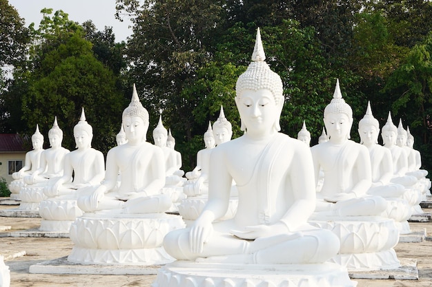 white Buddha statues are arranged in beautiful rows