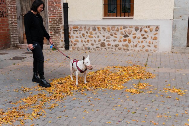 Foto cane bianco bull terrier che fa una passeggiata in autunno