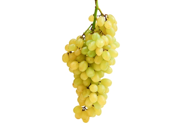 White bunch of grape on isolated white background