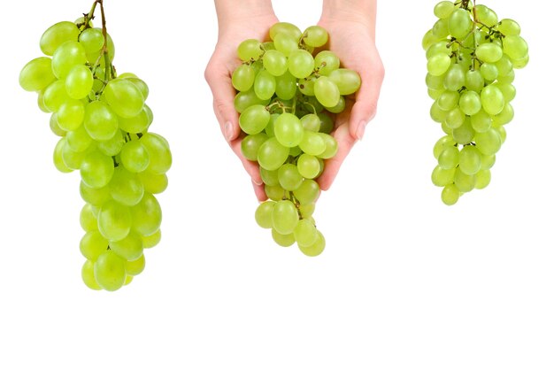 White bunch of grape on isolated white surface