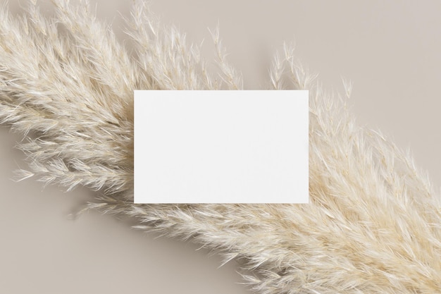 White business card mockup 85x55mm with a pampas grass decoration