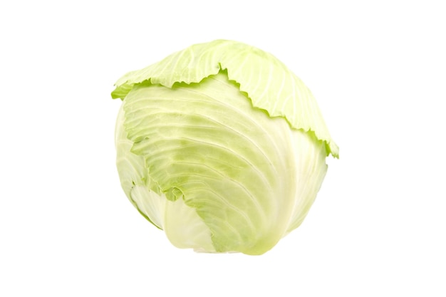 White cabbage head isolated on white background Ingredient for vegetable dish