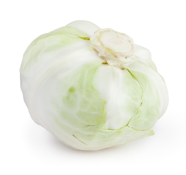 White cabbage isolated on white background with clipping path