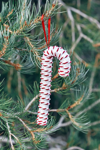 White candy cane hanging on Christmas tree outdoor, season holiday concept