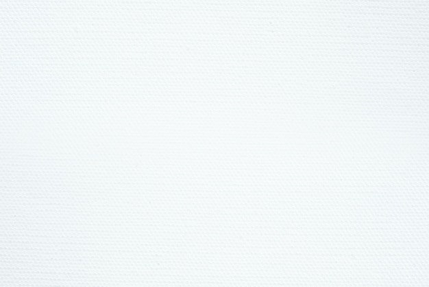  White canvas texture background