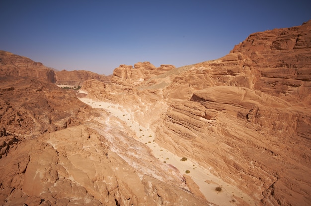 White Canyon in the Sinai desert