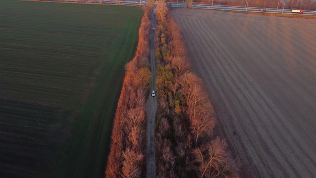 White car driving dirt road between agricultural fields countryside on autumn evening at sunset dawn