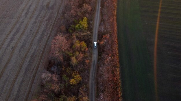 Белый автомобиль едет по грунтовой дороге между сельскохозяйственными полями в сельской местности осенним вечером, вид сверху с воздуха d