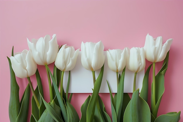 White Card Tulips Pink