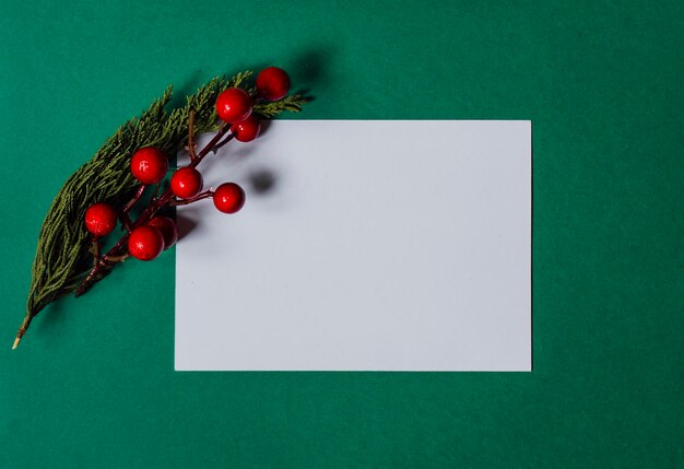 Photo white card where to write a letter with dry and red plants