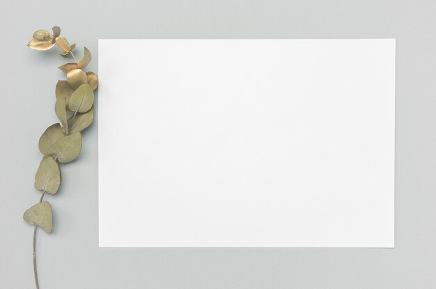 Photo white card with a dried grass decoration on a neutral table.